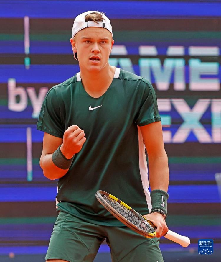 国内支持力 国内支持力