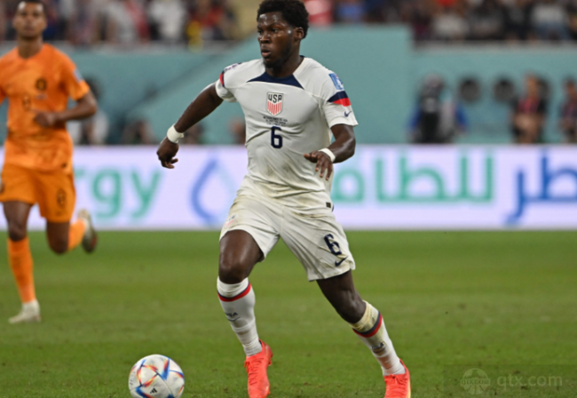 媒体与粉丝 媒体与粉丝