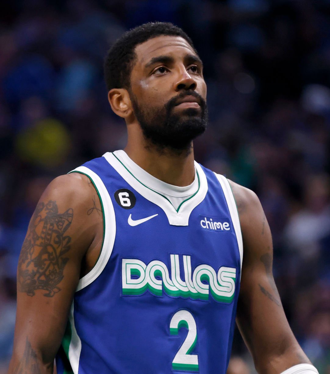 部的官方邀 部的官方邀